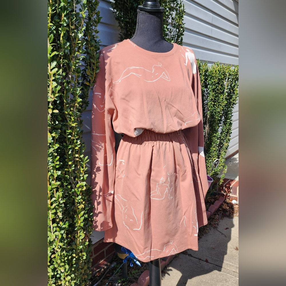 Zara Matisse Balloon Sleeve Midi